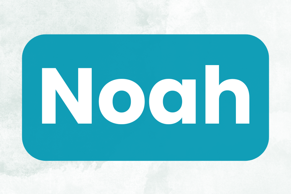 baby name Noah