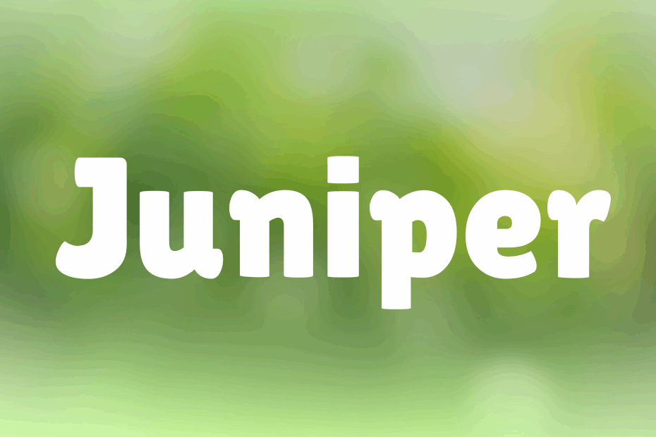 Middle names for Juniper